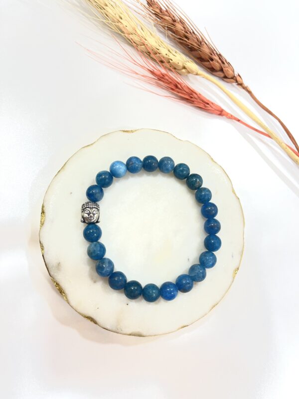 Apatite Dark Colour Bracelet