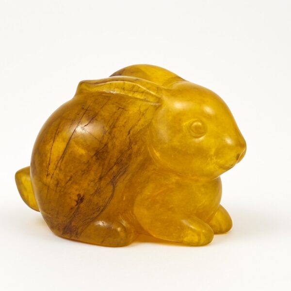 Golden Healer Rabbit