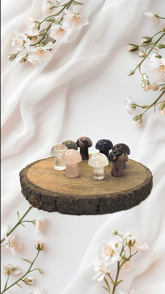 Mushrooms ₹250 (miniatures)